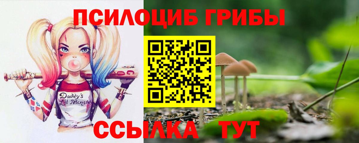 Псилоцибиновые грибы GOLDEN TEACHER  Псилоцибиновые грибы мухоморы  Вход с VPN  Стрежевой 