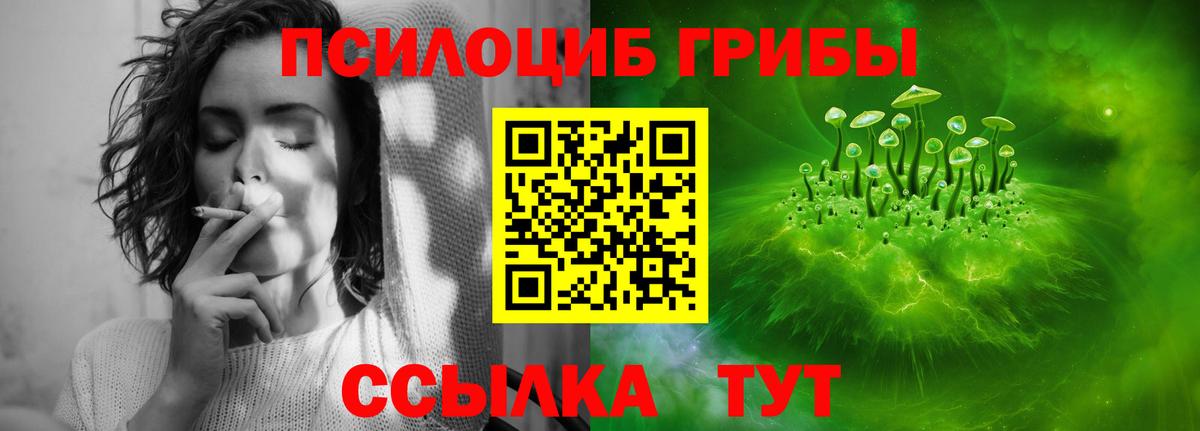 Псилоцибиновые грибы Psilocybe Стрежевой
